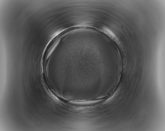 X0000086800892200704271848