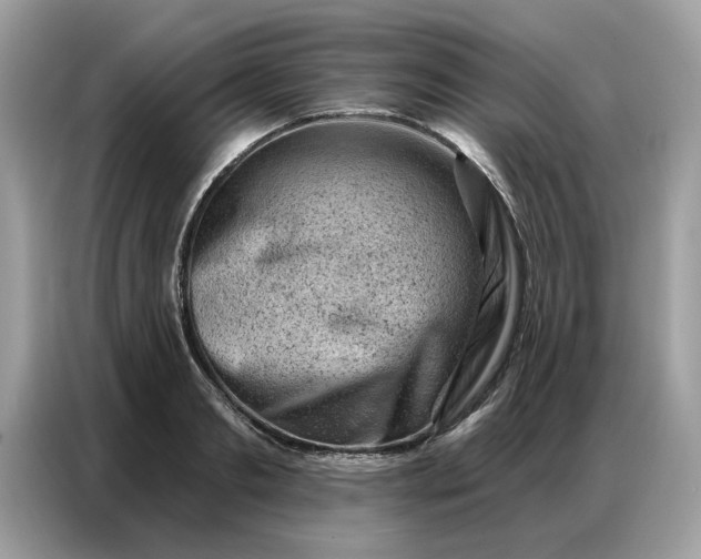 X0000086800893200704271848