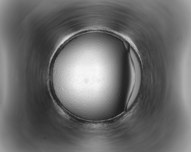 X0000086800895200704271848