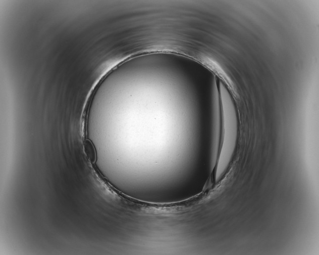 X0000086800900200704271848