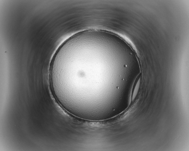 X0000086800903200704271848