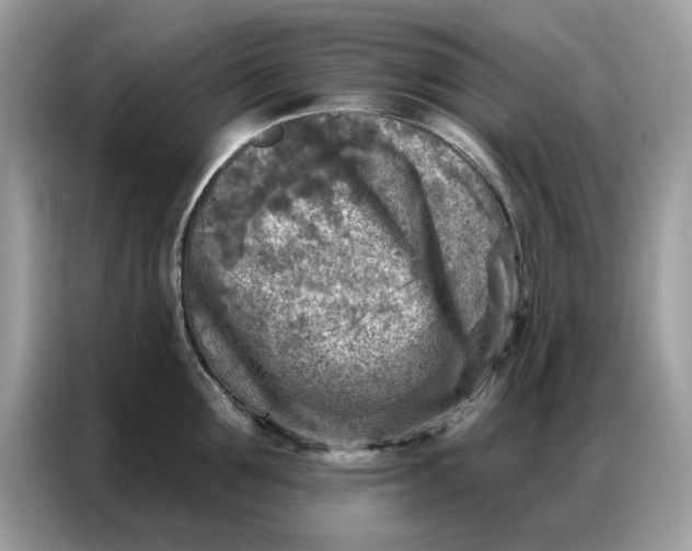 X0000086800907200704271848