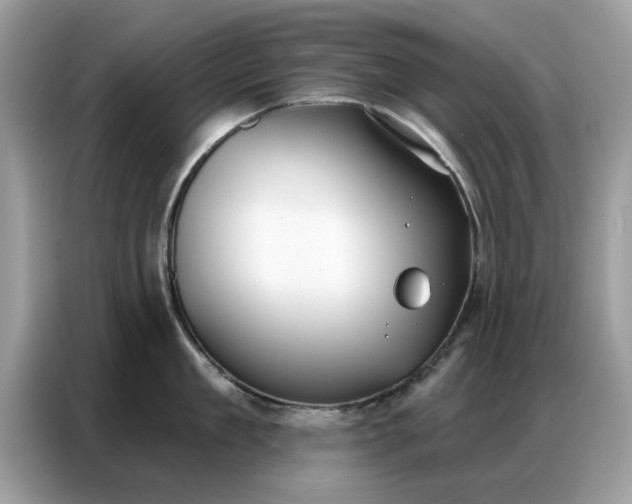 X0000086800909200704271848