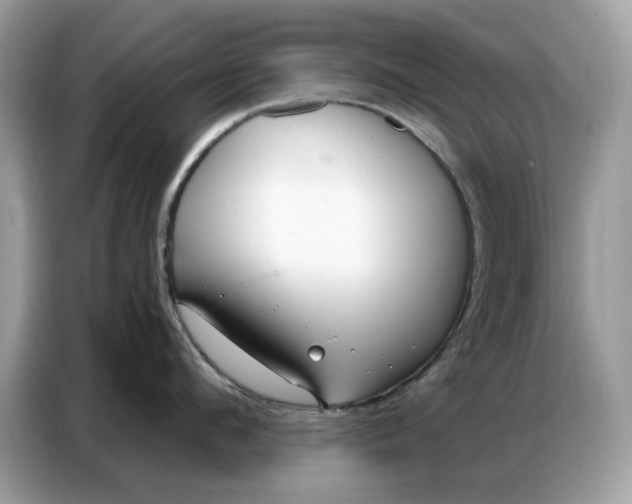 X0000086800912200704271848