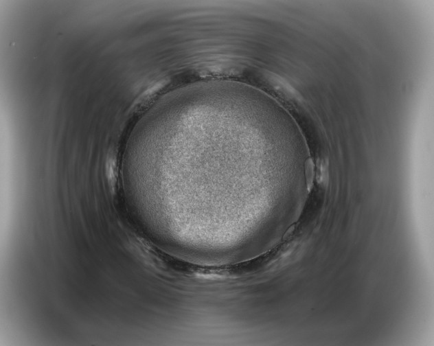 X0000086800915200704271847