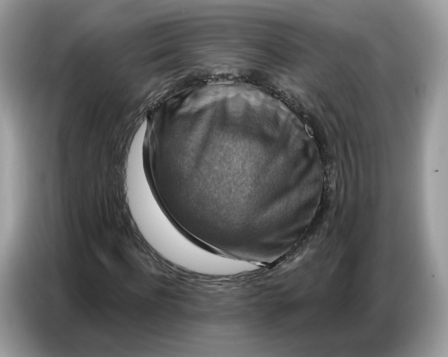 X0000086800916200704271847