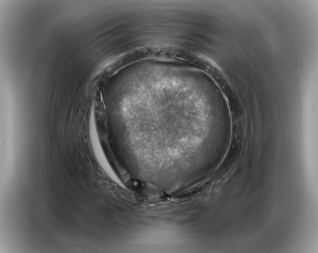 X0000086800919200704271847