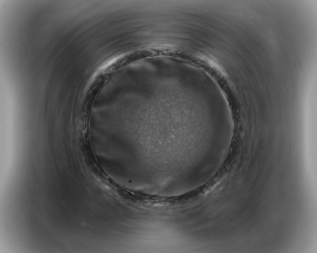 X0000086800920200704271847