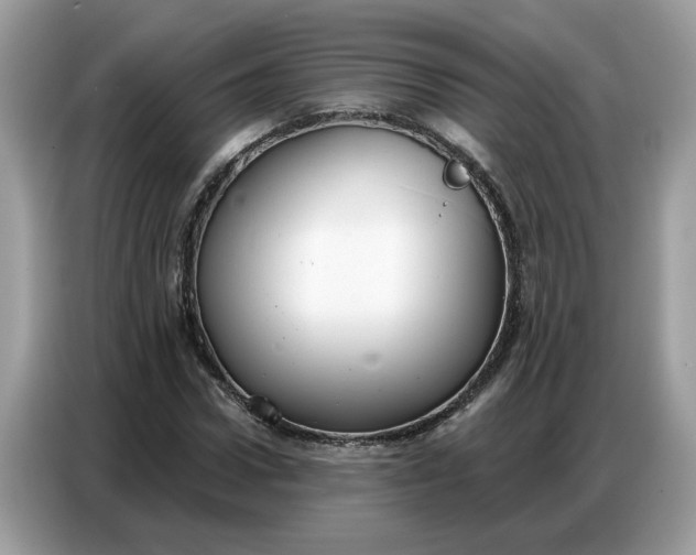 X0000086800922200704271847