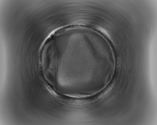 X0000086800923200704271847