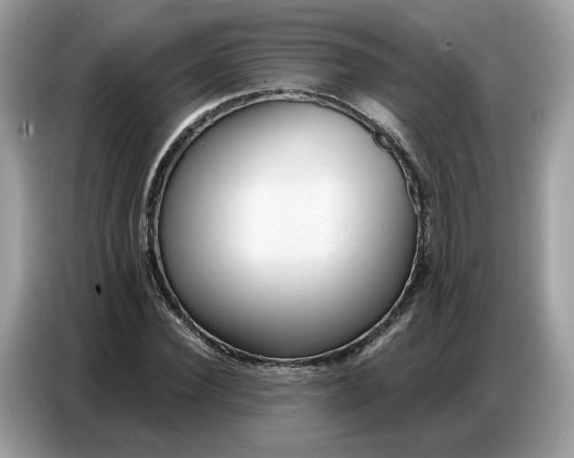 X0000086800924200704271847