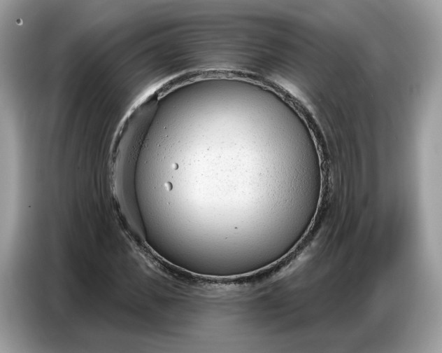 X0000086800925200704271847