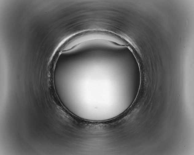 X0000086800926200704271847