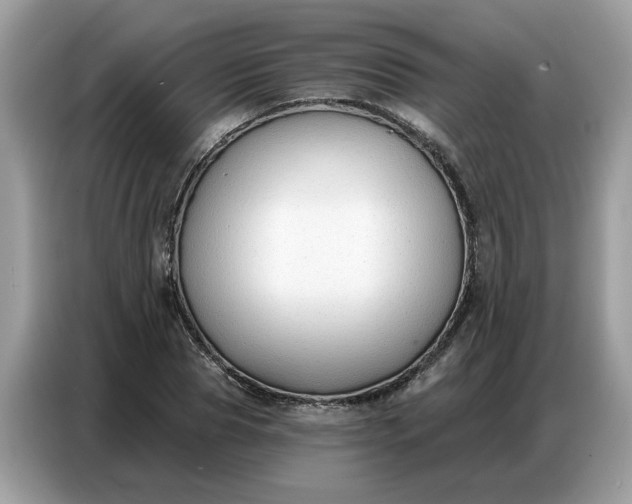 X0000086800929200704271847