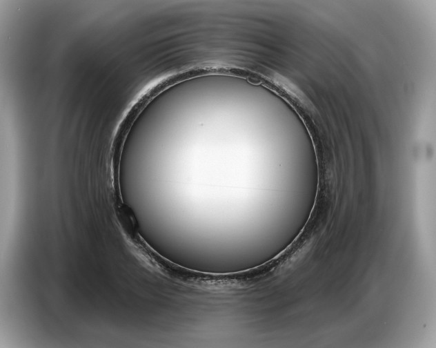 X0000086800934200704271847