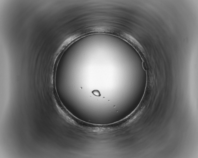 X0000086800938200704271847