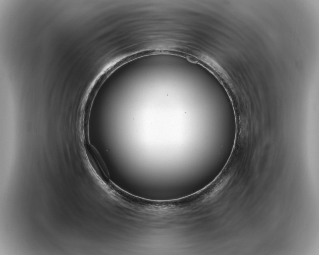 X0000086800939200704271847