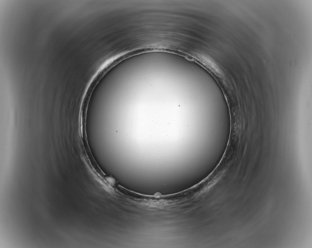 X0000086800940200704271847