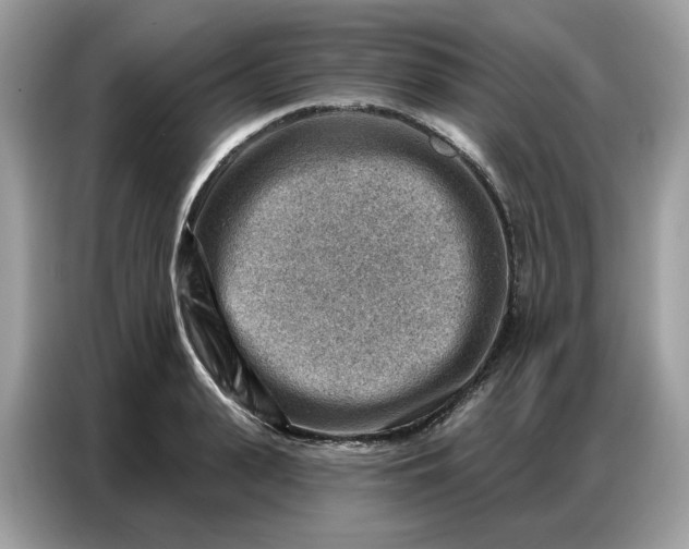 X0000086800943200704271847