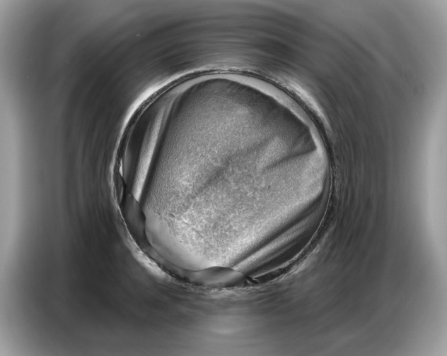 X0000086800944200704271847