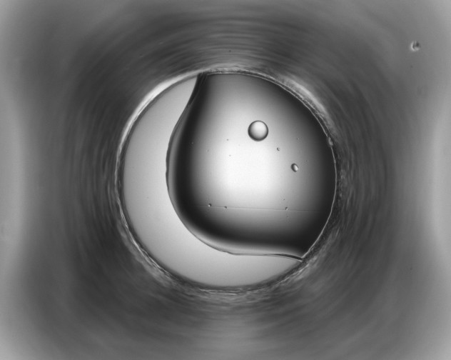 X0000086800948200704271847