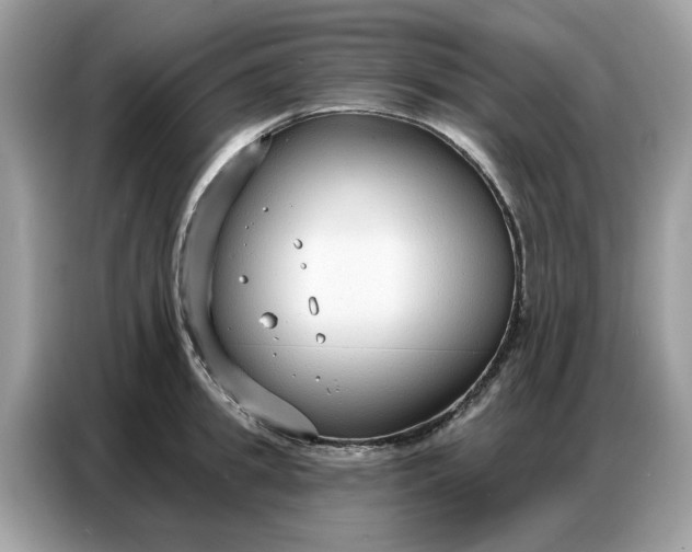 X0000086800949200704271847