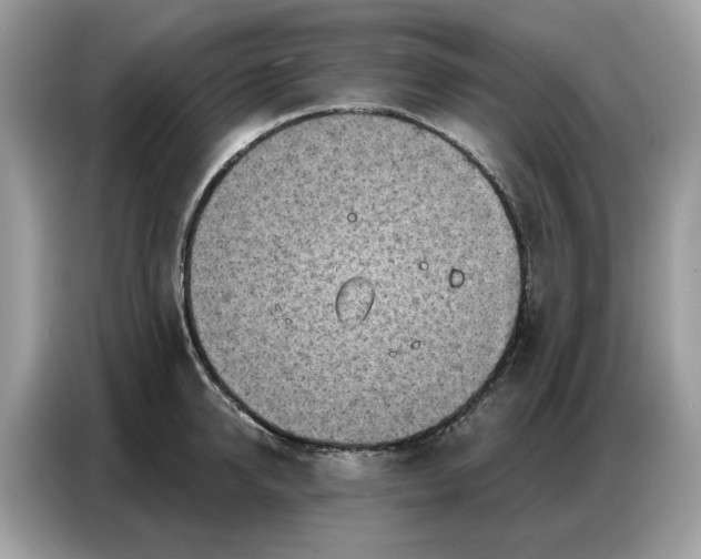 X0000086800950200704271847