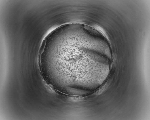 X0000086800952200704271847