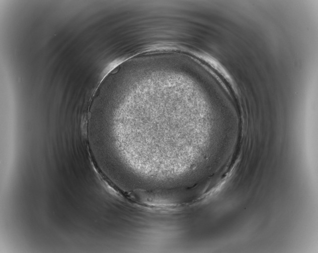 X0000086800953200704271847