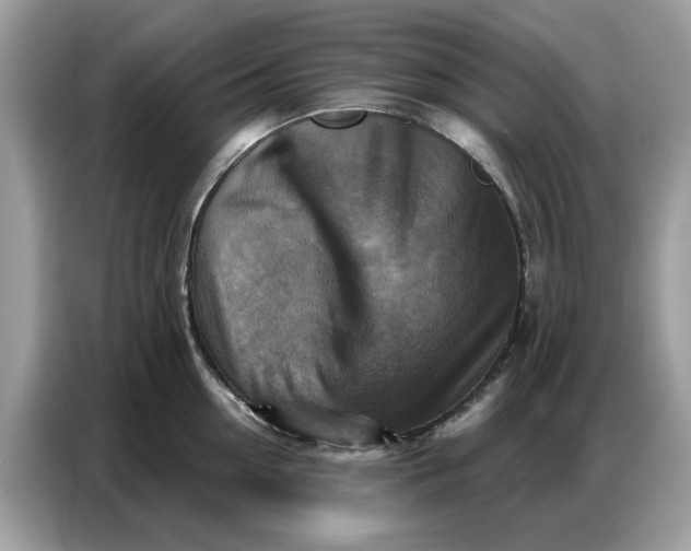 X0000086800954200704271847