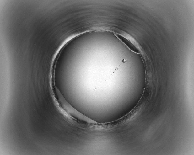 X0000086800955200704271847