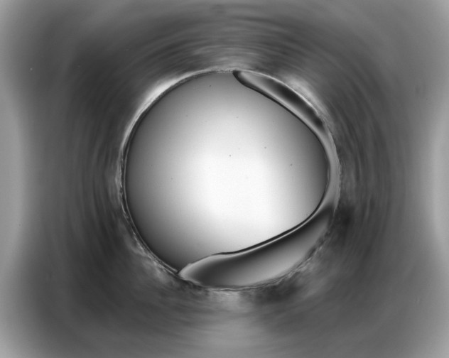 X0000086800956200704271847