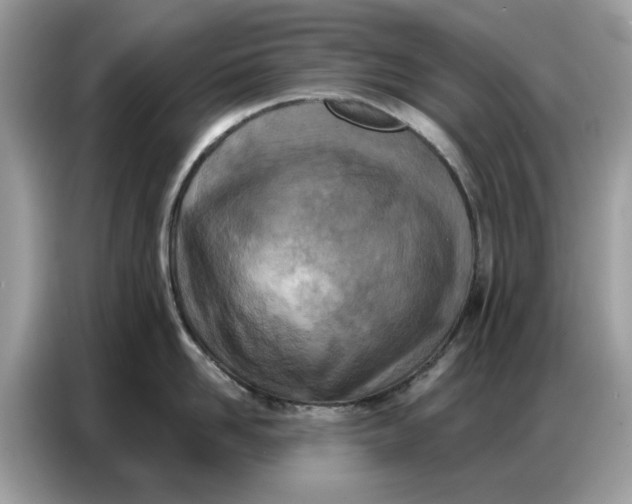 X0000086800958200704271847