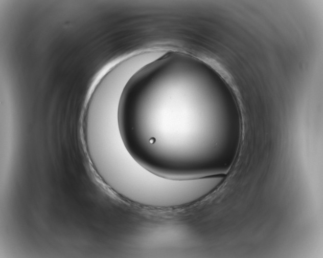 X0000086800960200704271848