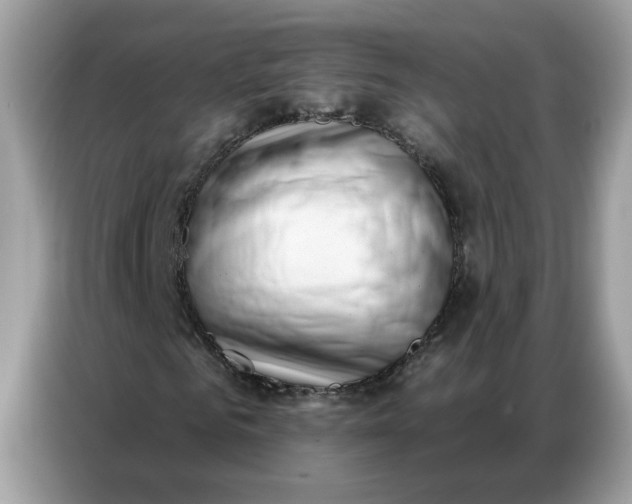 X0000086800961200704271847