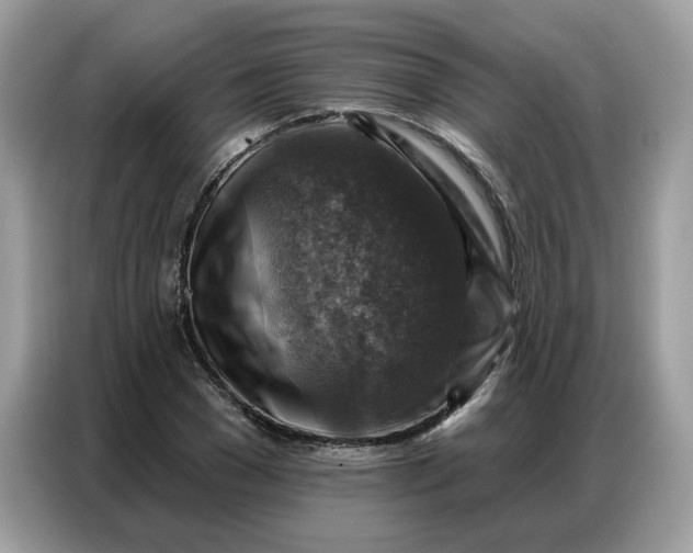 X0000086800977200704271847