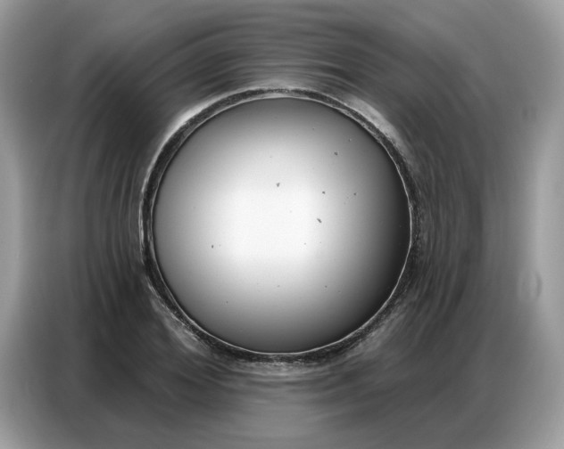 X0000086800980200704271847