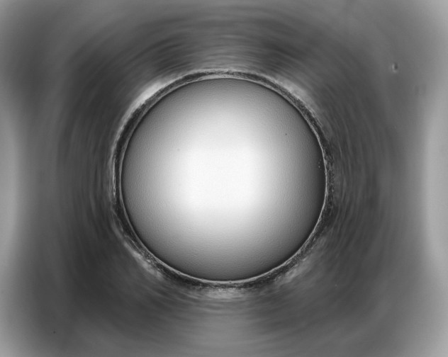 X0000086800982200704271847