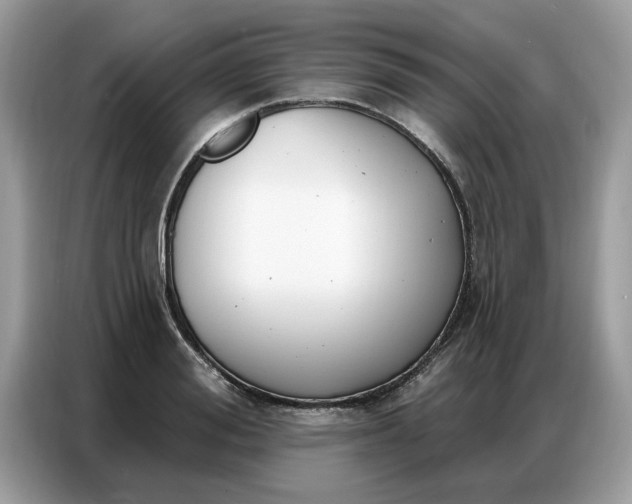 X0000086800988200704271847