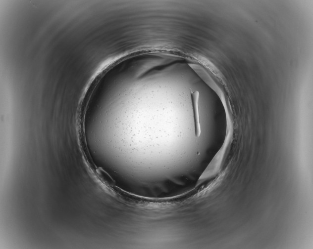 X0000086800989200704271847