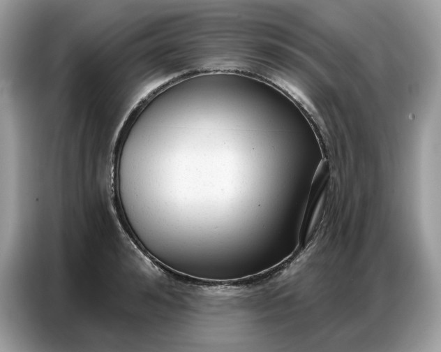 X0000086800992200704271846