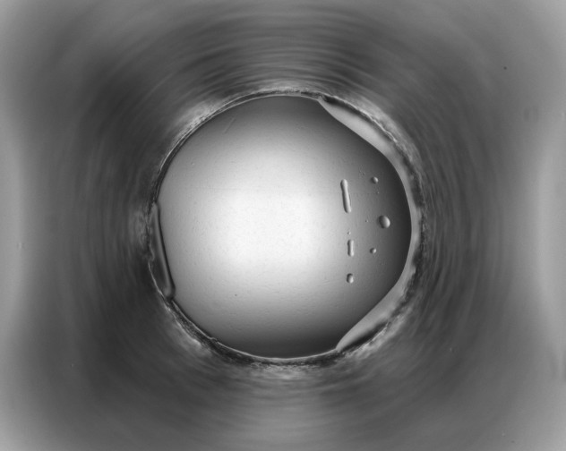 X0000086800993200704271846