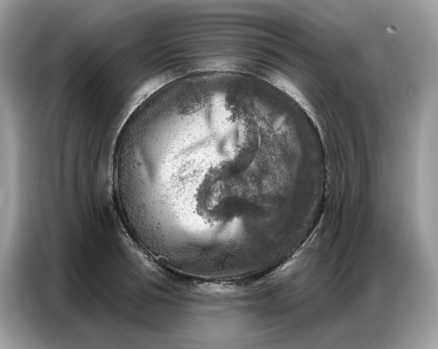 X0000086800994200704271846