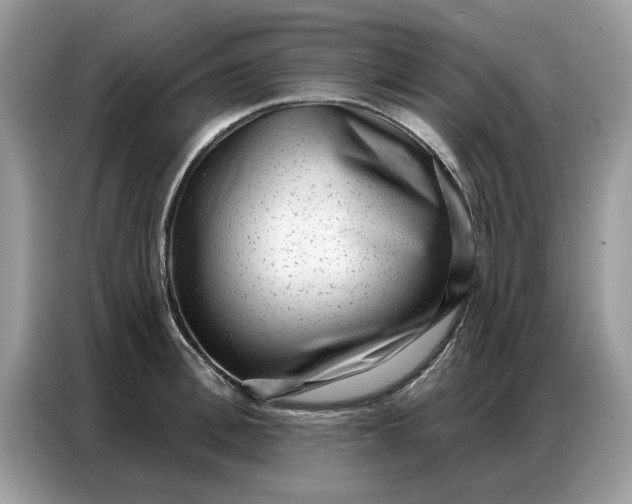 X0000086800996200704271846