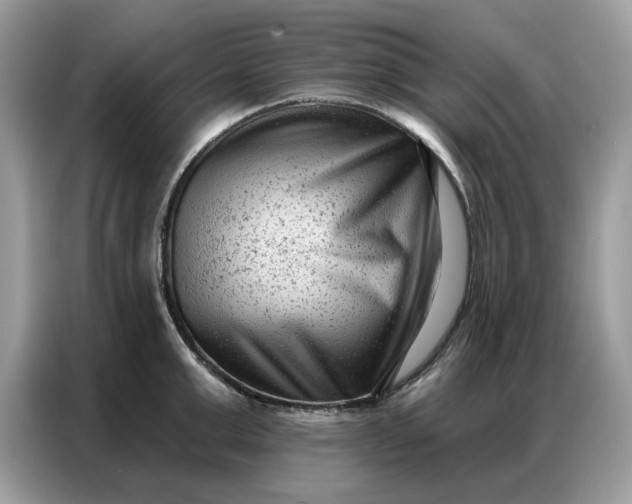 X0000086800999200704271846