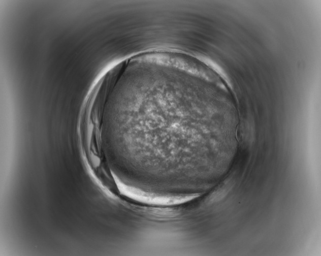 X0000086801007200704271846