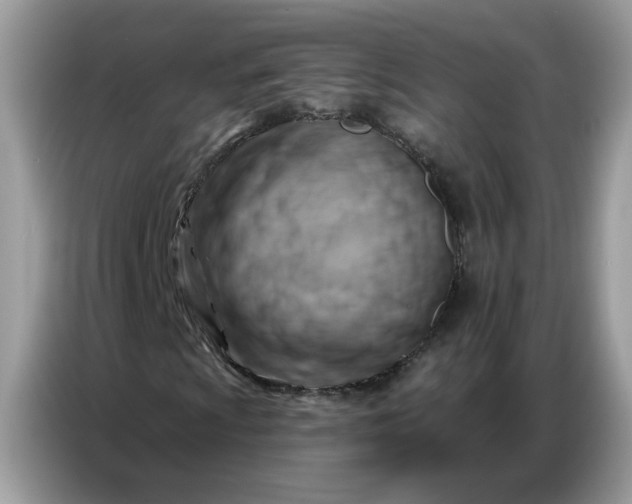 X0000086801009200704271846