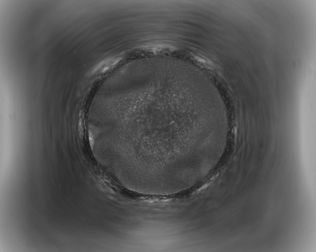 X0000086801014200704271846