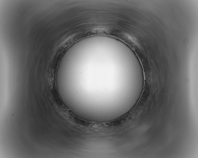 X0000086801015200704271846