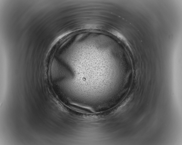 X0000086801019200704271846